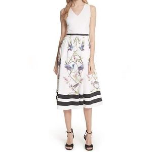 Ted Baker London NWOT Hummingbird dress